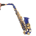 Alto Saxophone Set H231