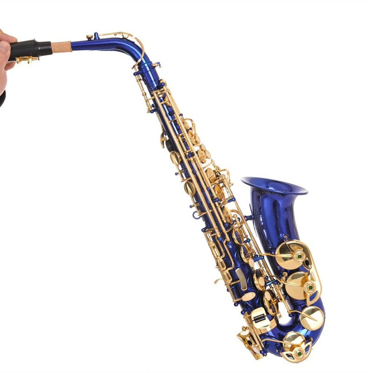 Alto Saxophone Set H231