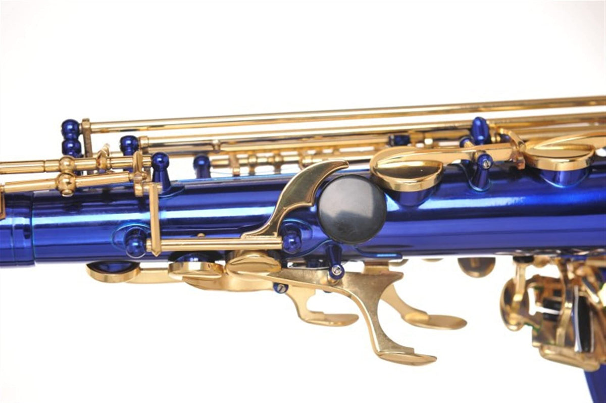 Alto Saxophone Set H231