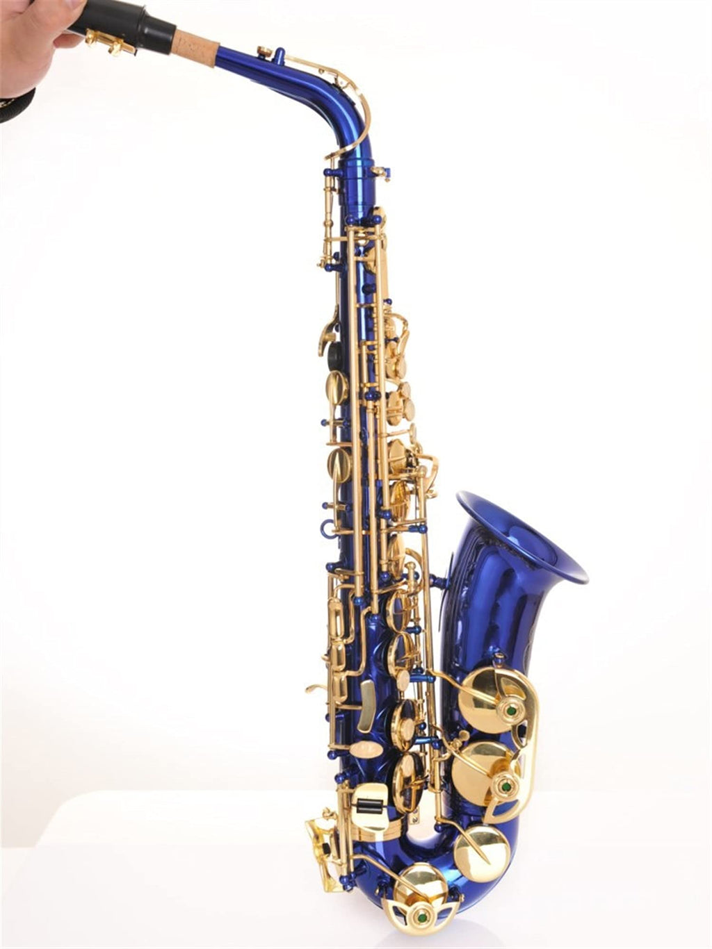 Alto Saxophone Set H231