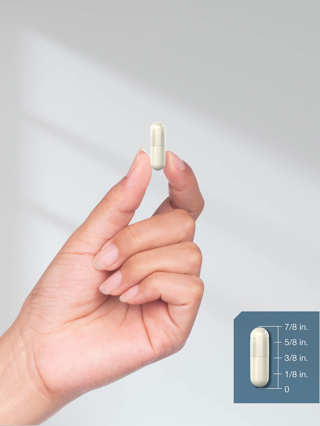MSM Supplement Capsules 1000mg 250 Count R8609