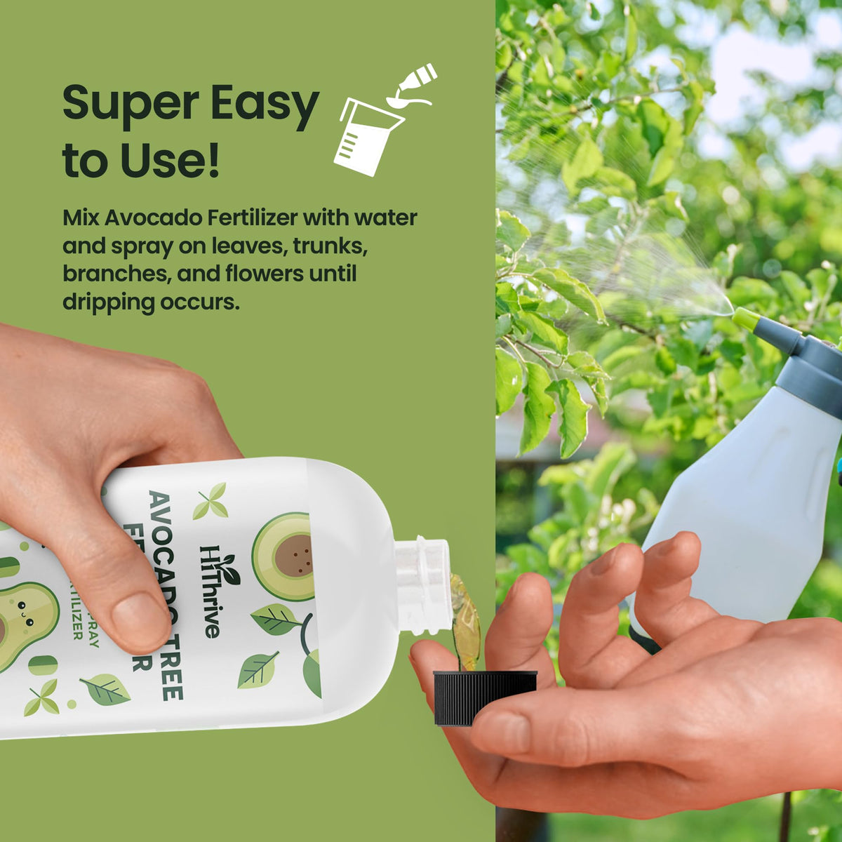 Avocado Fruit Tree Fertilizer 16oz N631