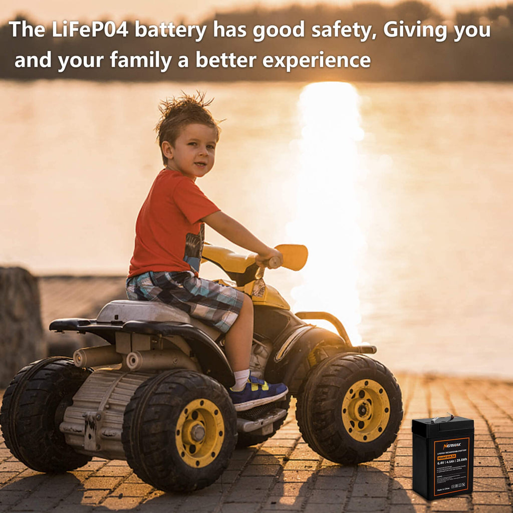 6V 4.5Ah LiFePO4 Battery 2 Pack M8418