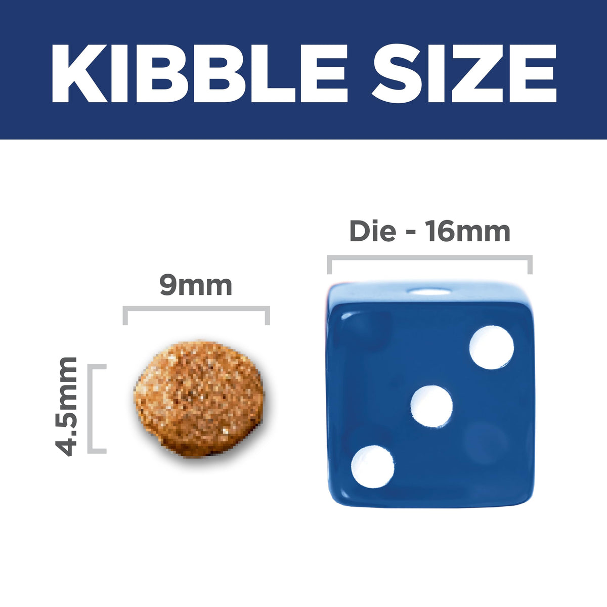 Sensitive Stomach & Skin Small Bites Dry Dog Food N2894