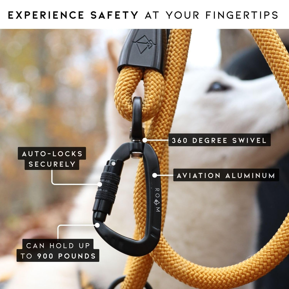 Climbing Rope Leash with Autolocking Carabiner, 6ft O899684