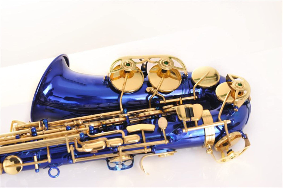 Alto Saxophone Set H231