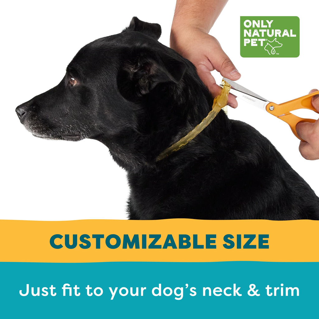 Flea & Tick Dog Collar One Size Fits All Z2327