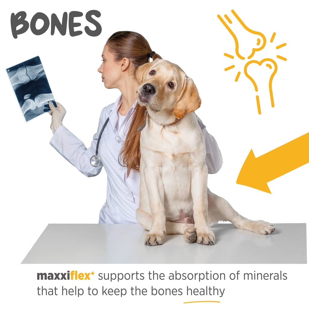 Dog Hip & Joint Support Glucosamine & Collagen 120ct U924138