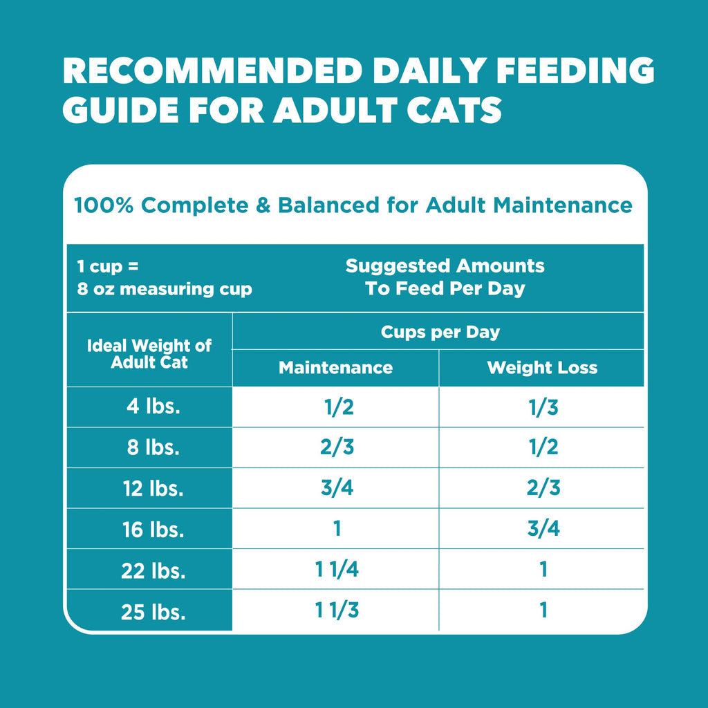 Indoor Dry Cat Food Chicken & Turkey 7 lb O7124