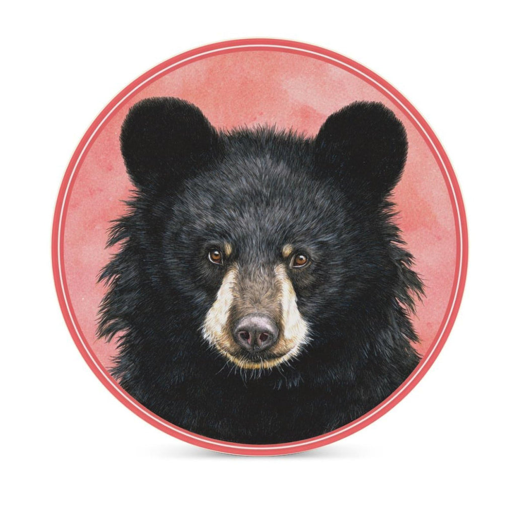 Black Bear Coasters Set of 4 Z898