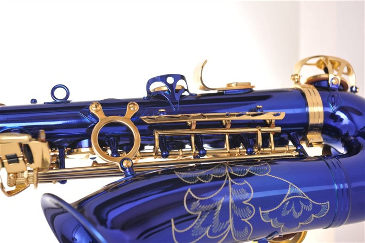 Alto Saxophone Set H231