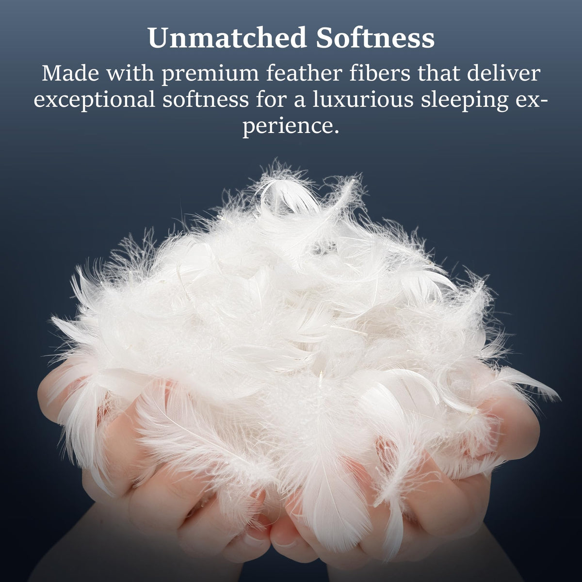 Goose Feather King Size Set of 2 Cotton Pillows L40049