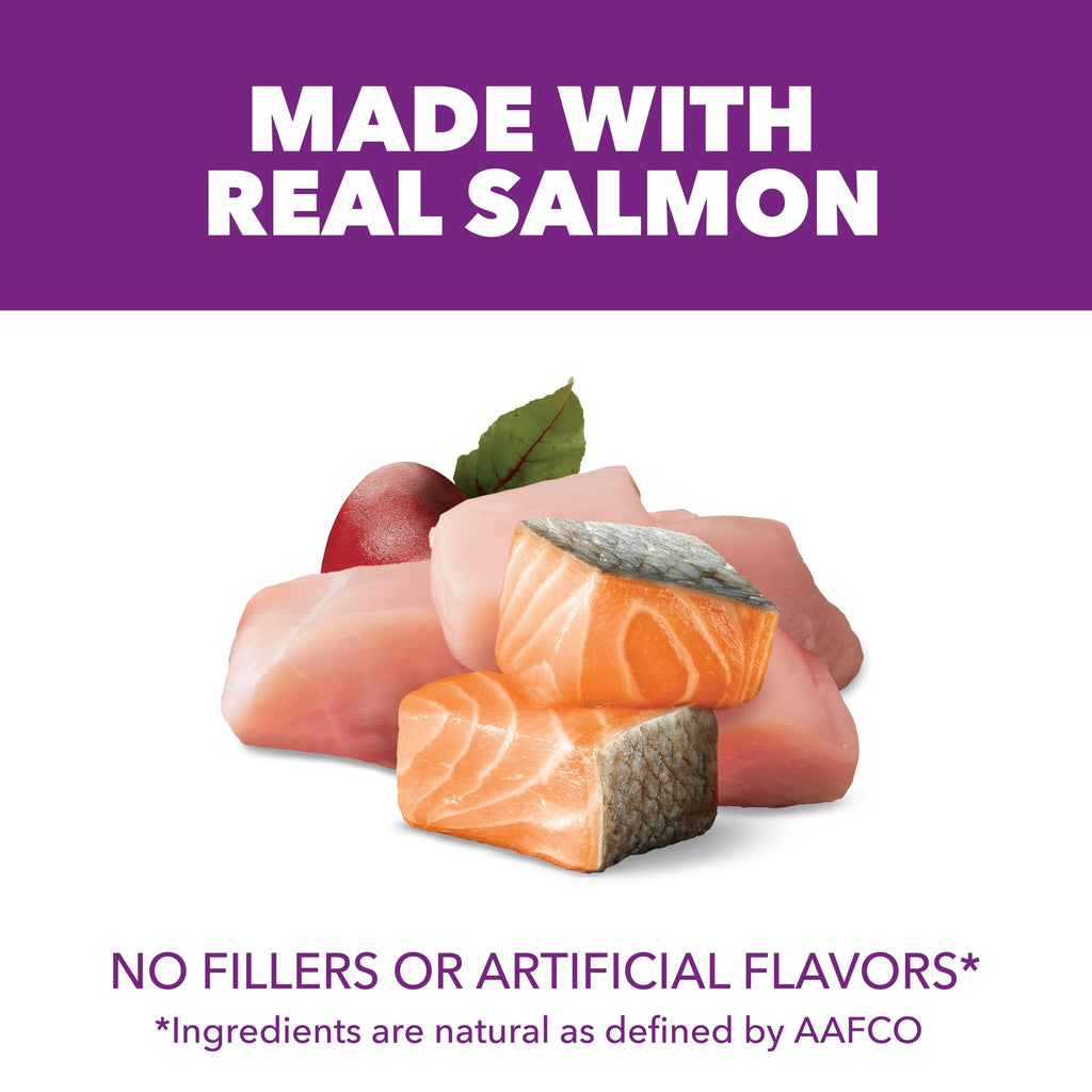 Chicken & Salmon Dry Dog Food 36 lb U389903