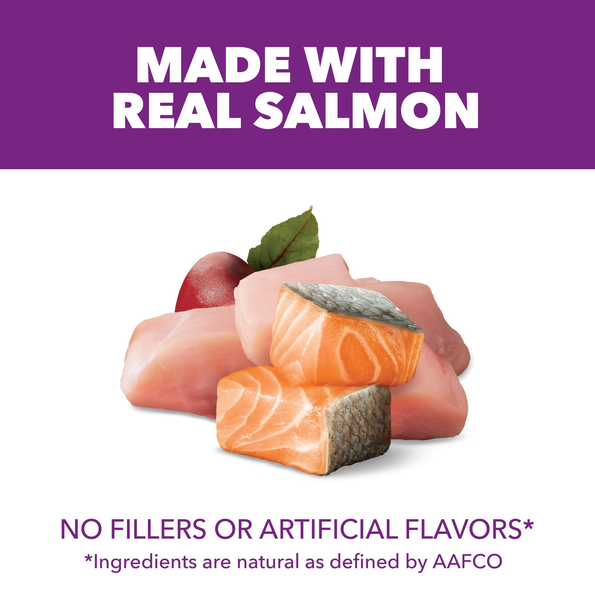 Chicken & Salmon Dry Dog Food 36 lb U389903