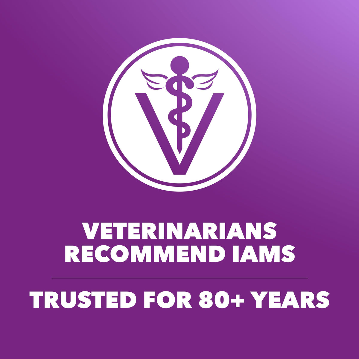 Chicken & Salmon Dry Dog Food 36 lb U389903