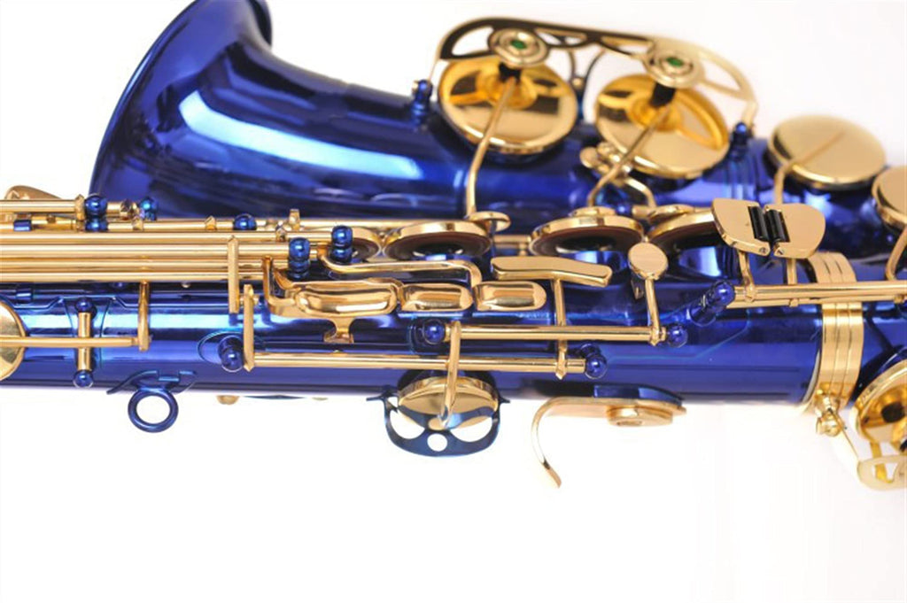 Alto Saxophone Set H231