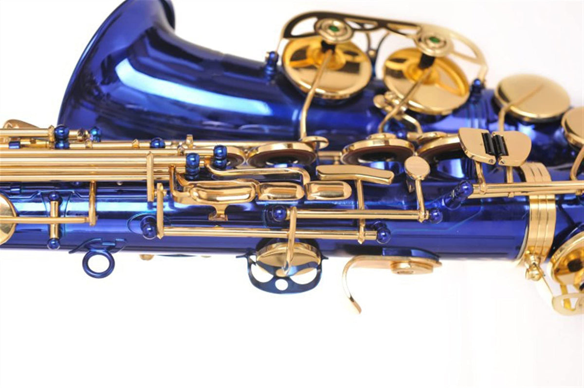 Alto Saxophone Set H231