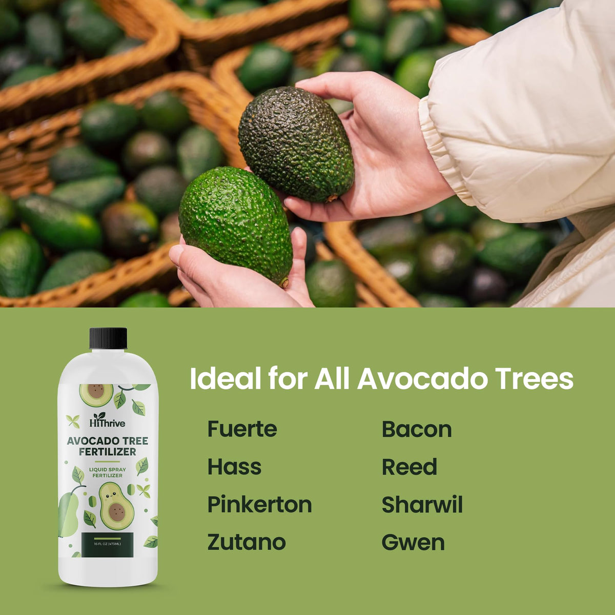 Avocado Fruit Tree Fertilizer 16oz N631
