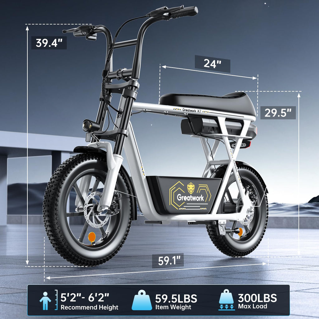 1500W Electric Scooter with Seat V668