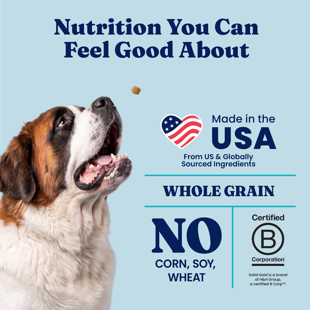 Solid Gold Bison Dry Dog Food 22LB H756923