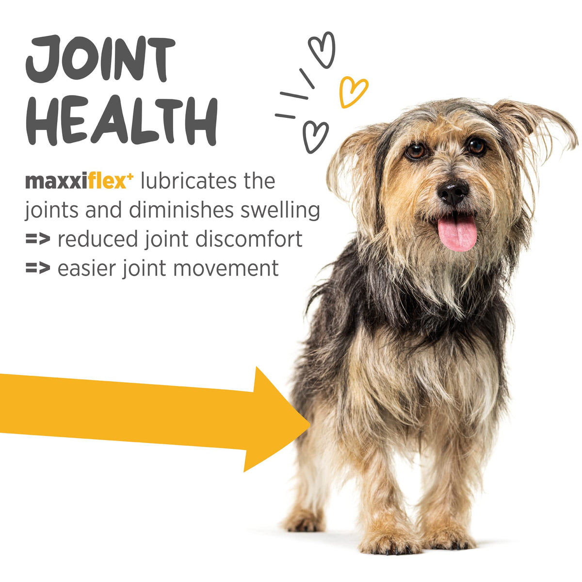 Dog Hip & Joint Support Glucosamine & Collagen 120ct U924138