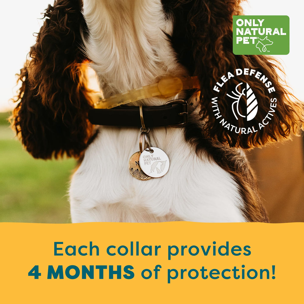 Flea & Tick Dog Collar One Size Fits All Z2327