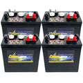 6V 220Ah Deep-Cycle Battery Set of 4 L6359