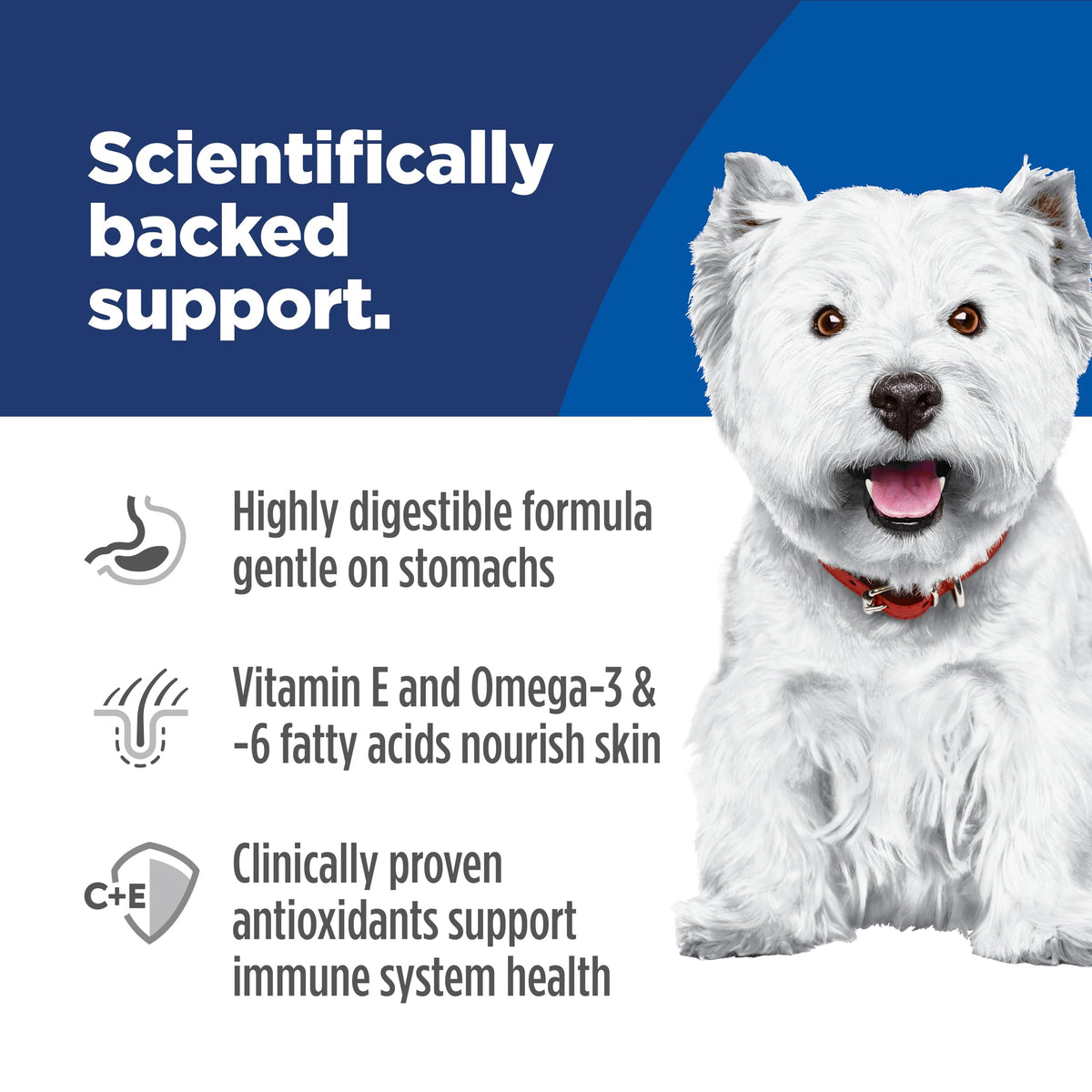 Sensitive Stomach & Skin Small Bites Dry Dog Food N2894