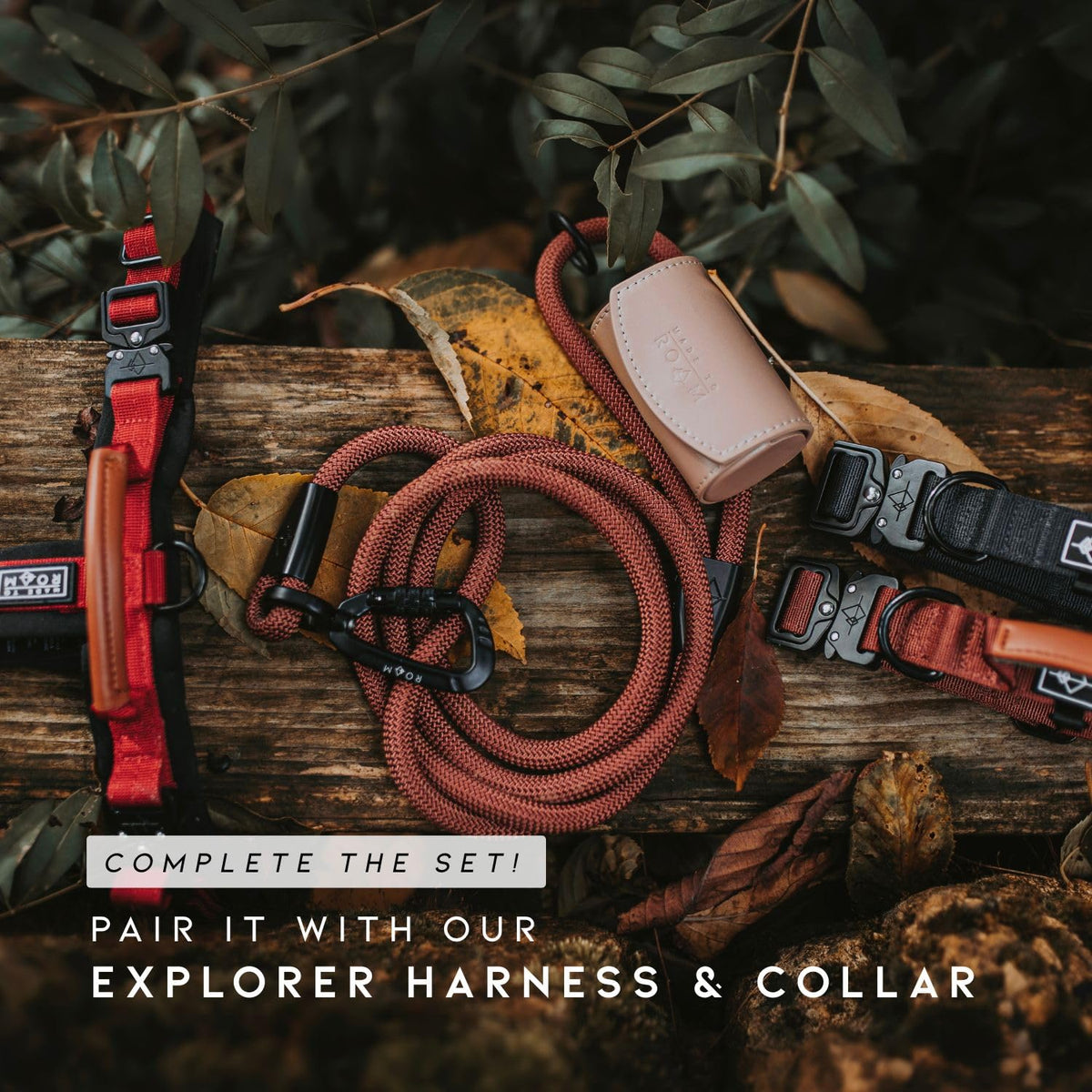 Climbing Rope Leash with Autolocking Carabiner, 6ft O899684