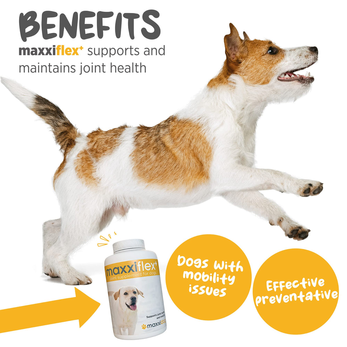 Dog Hip & Joint Support Glucosamine & Collagen 120ct U924138