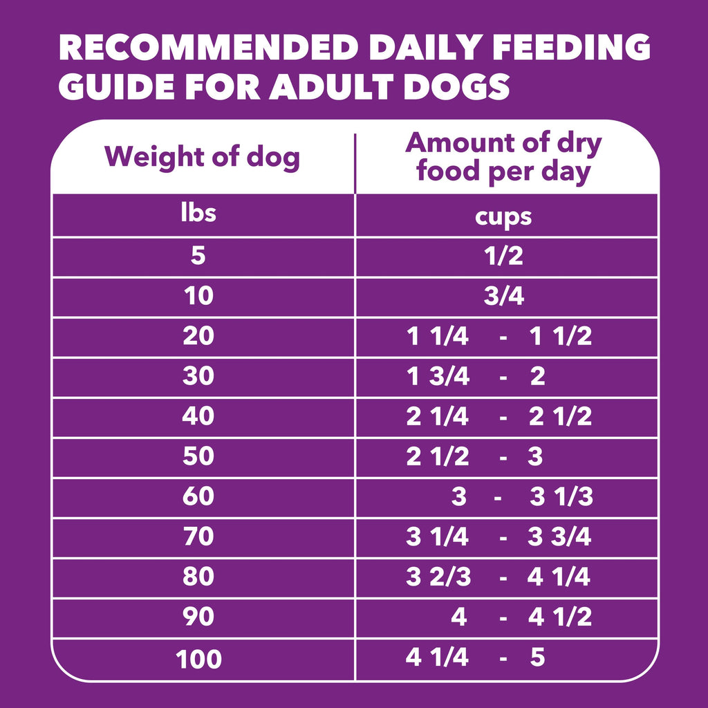 Chicken & Salmon Dry Dog Food 36 lb U389903