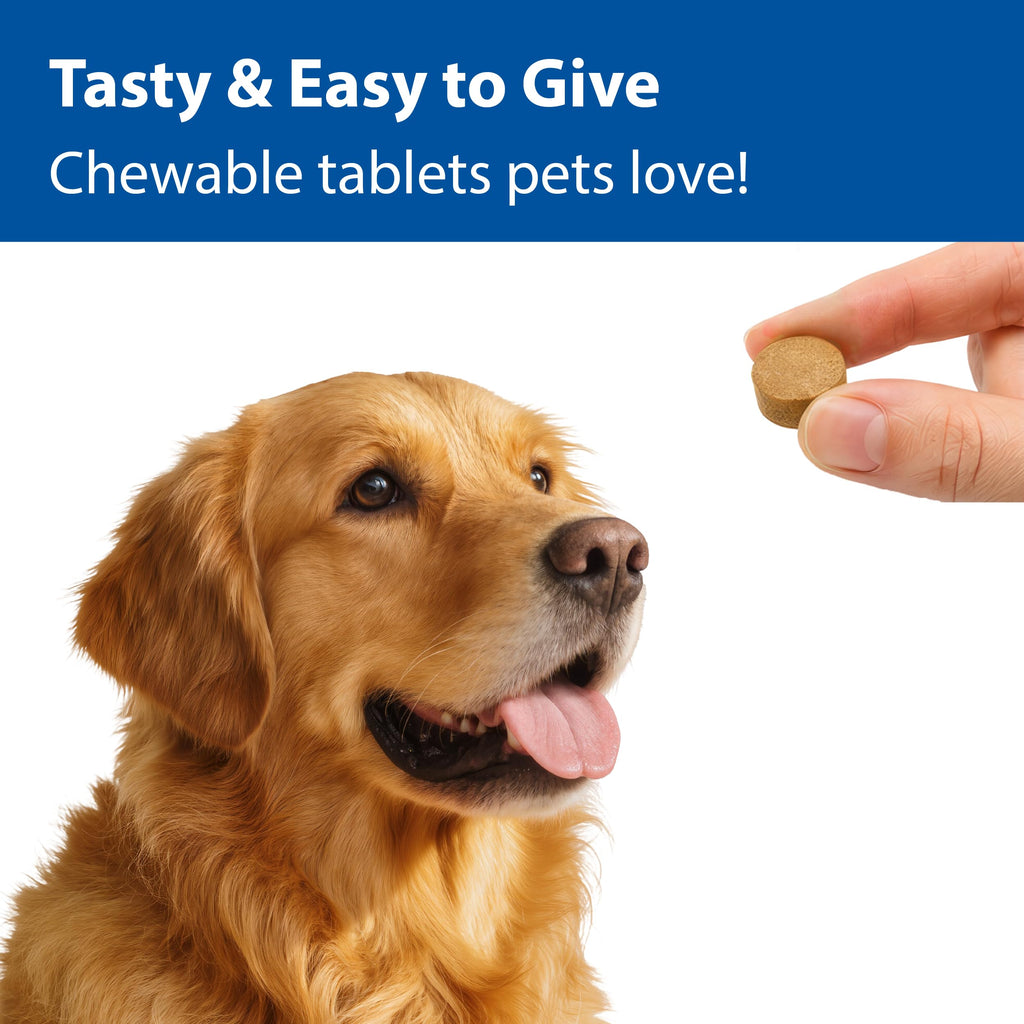 100 mg Chewable Tablets Liver Support Supplement U965330
