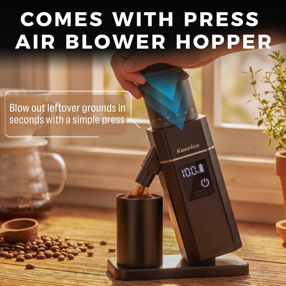 Electric Burr Coffee Grinder with 75 Settings P68400