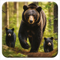 Black Bear 3D Coaster Z26069