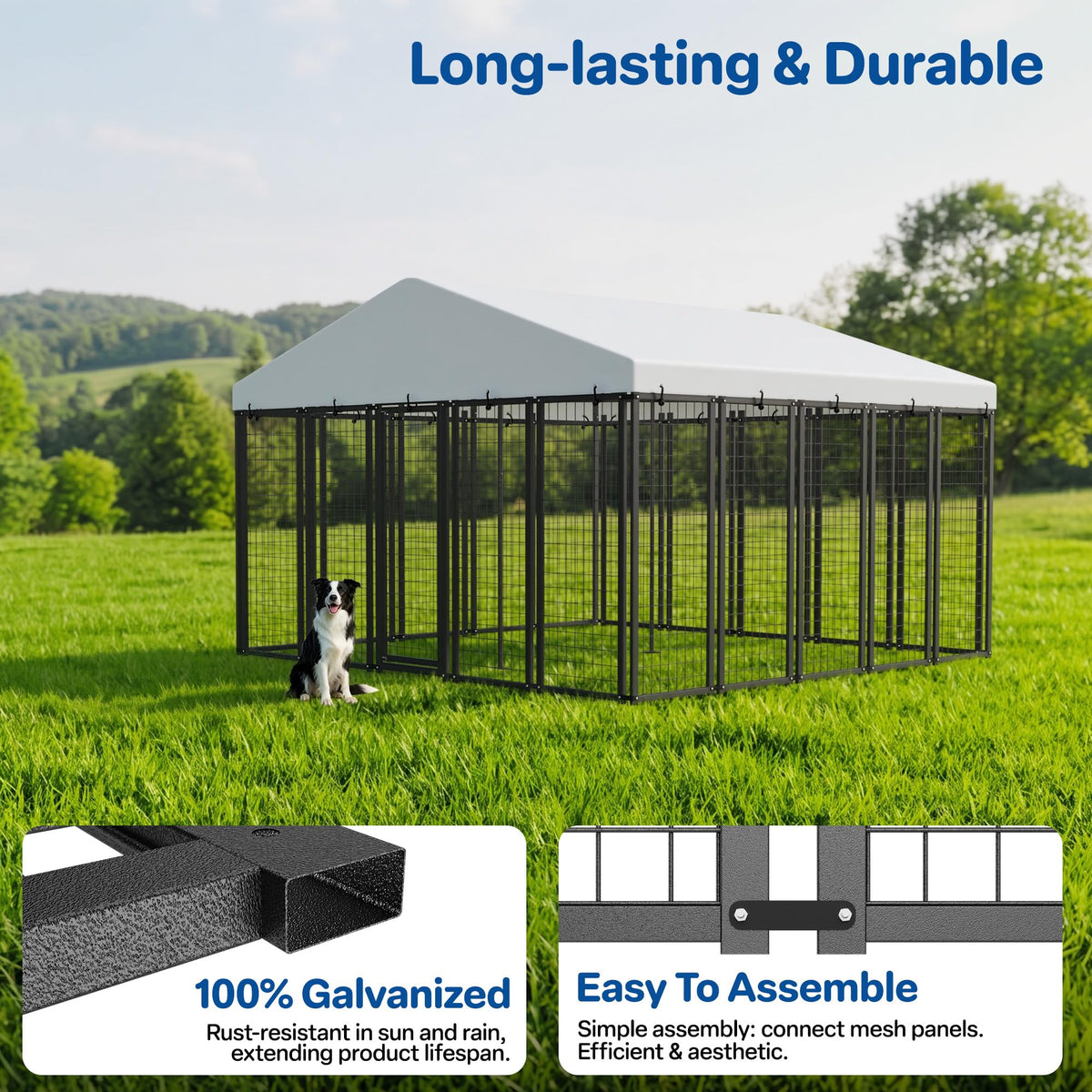 10x10 ft Heavy Duty Outdoor Dog Kennel D808514