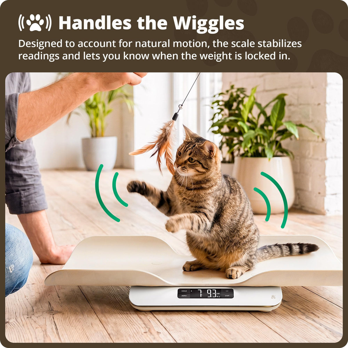 Digital Pet Scale for Cats, Dogs & Small Animals G453469