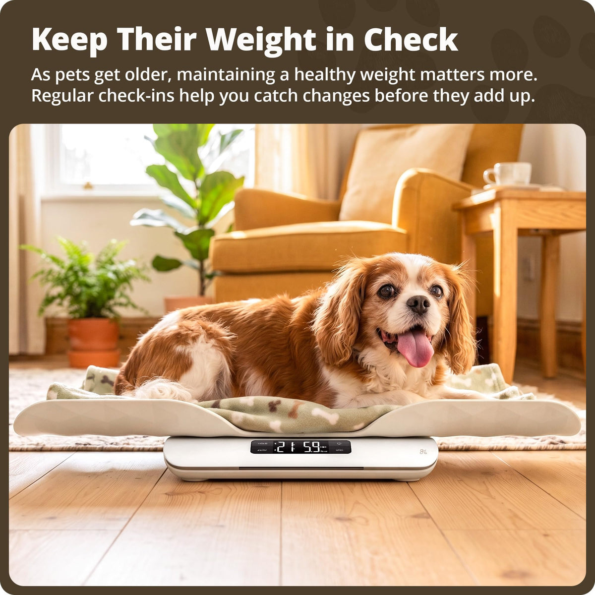 Digital Pet Scale for Cats, Dogs & Small Animals G453469
