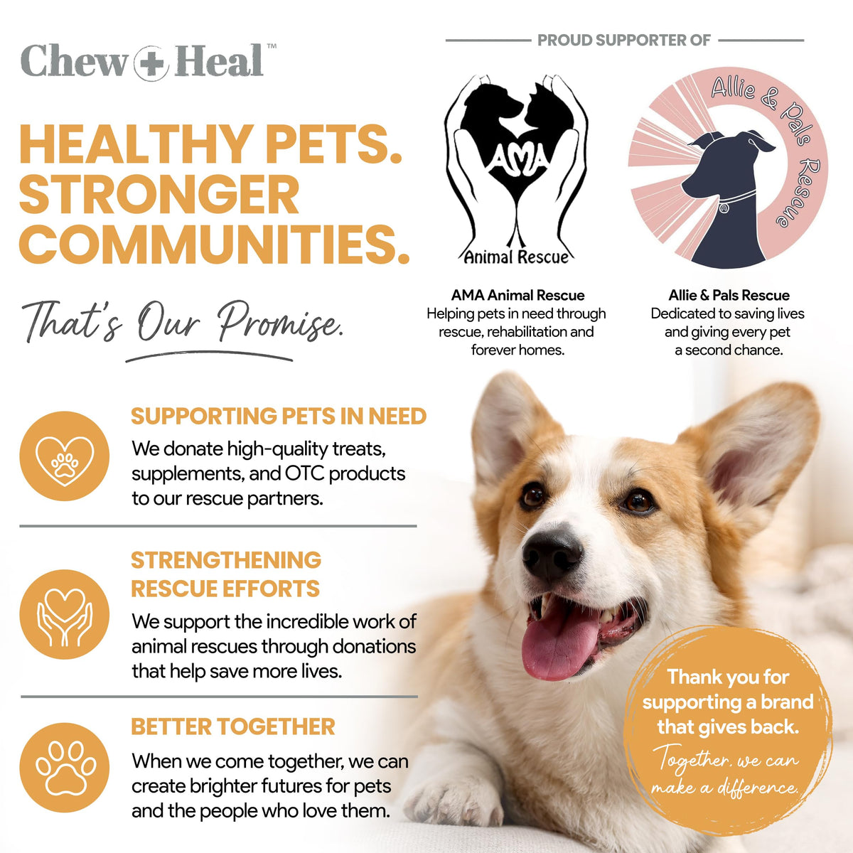 Fish Oil for Dogs 300mg 180 Softgel Capsules E33759
