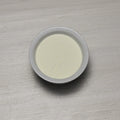 Instant Nonfat Dry Milk Powder F6024