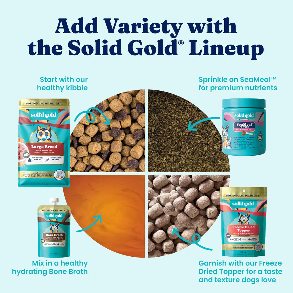 Solid Gold Bison Dry Dog Food 22LB H756923
