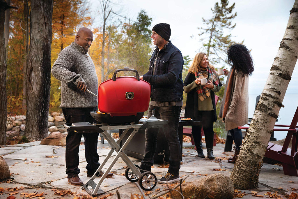 Portable Propane Gas Grill with Griddle, Red, 2 Burners L102
