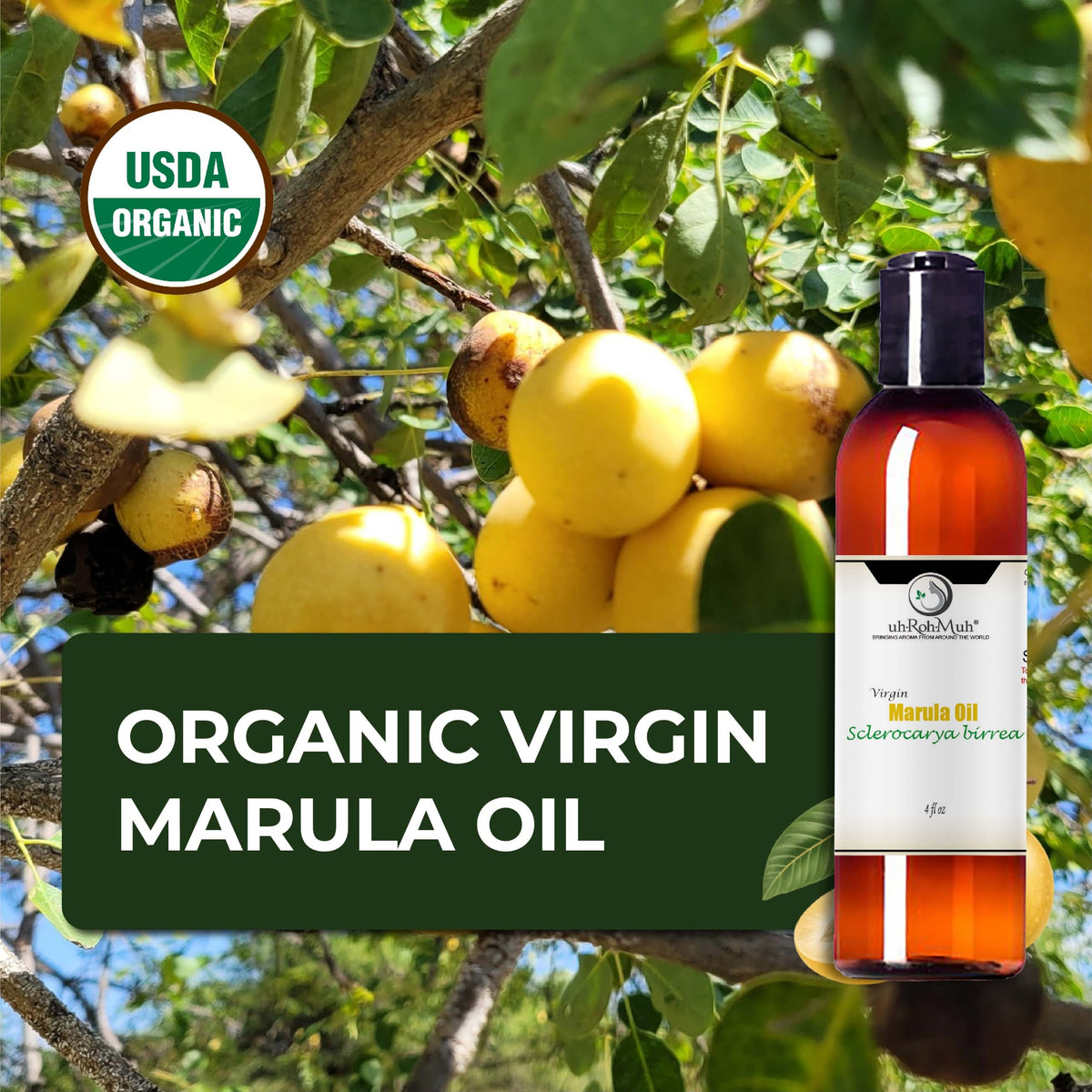 Cold Pressed Virgin Organic Marula Oil 4 Fl Oz U90231